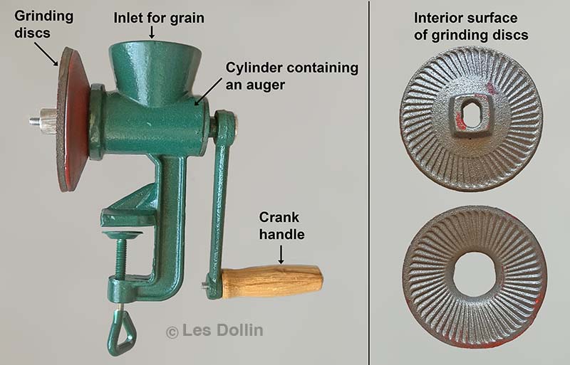 A modern replica of a steel hand mill – similar in design to those supplied to Britain's colonies in Sydney Cove and on Norfolk Island in 1788. The mill has an inlet for the grain and has two steel grinding disks that are driven with a crank handle.