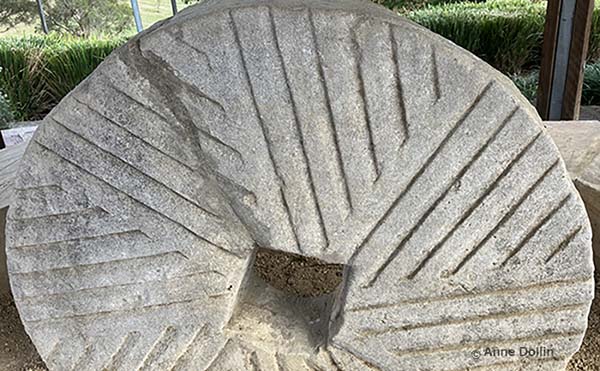 An old calcarenite limestone millstone at Kurrajong, NSW. Photo by Anne Dollin