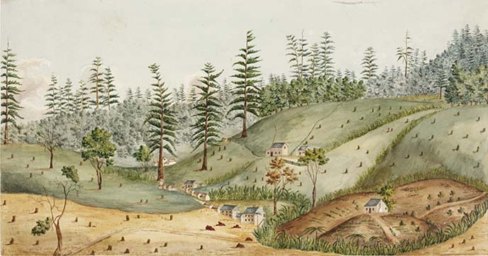 A painting by john Eyre, ca 1804, of Queensborough or Queenborough, one of the outlying farming districts on Norfolk Island during the First Settlement. Small houses can be seen along with ploughed fields ready for crops.