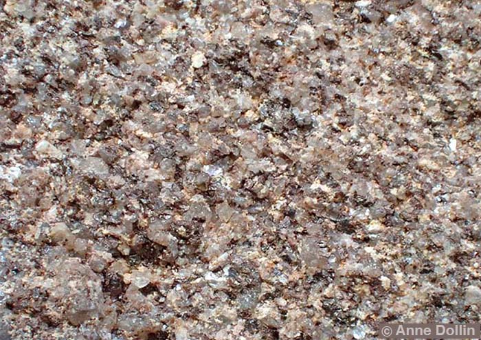 Macro photograph of Millstone Grit from Derbyshire. This reddish rock has relatively fine, interlocking abrasive grains.