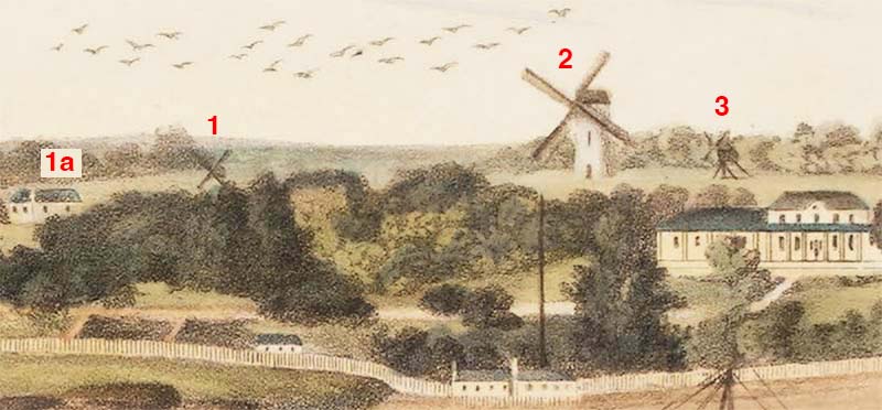 Three flour windmills built at the Sydney Domain, NSW, in the early 1800s. They were established by John Palmer and Nathaniel Lucas.